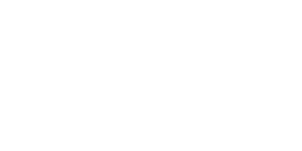 에이스 프로바이더 logo